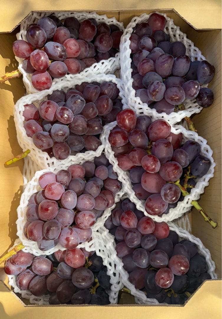 山梨県産ぶどう⭐️富士の輝ブラックシャインマスカット⭐️7房入り箱込み約5.8キロ