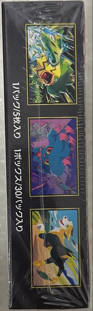 Z*K様 【新品・未使用】ポケモンカードゲーム インフェルノX 1BOX シュリ