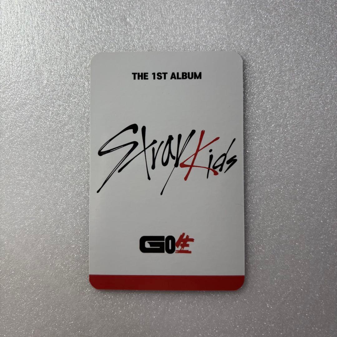 Stray Kids チャンビン GO生 トレカ フォトカード SUBK