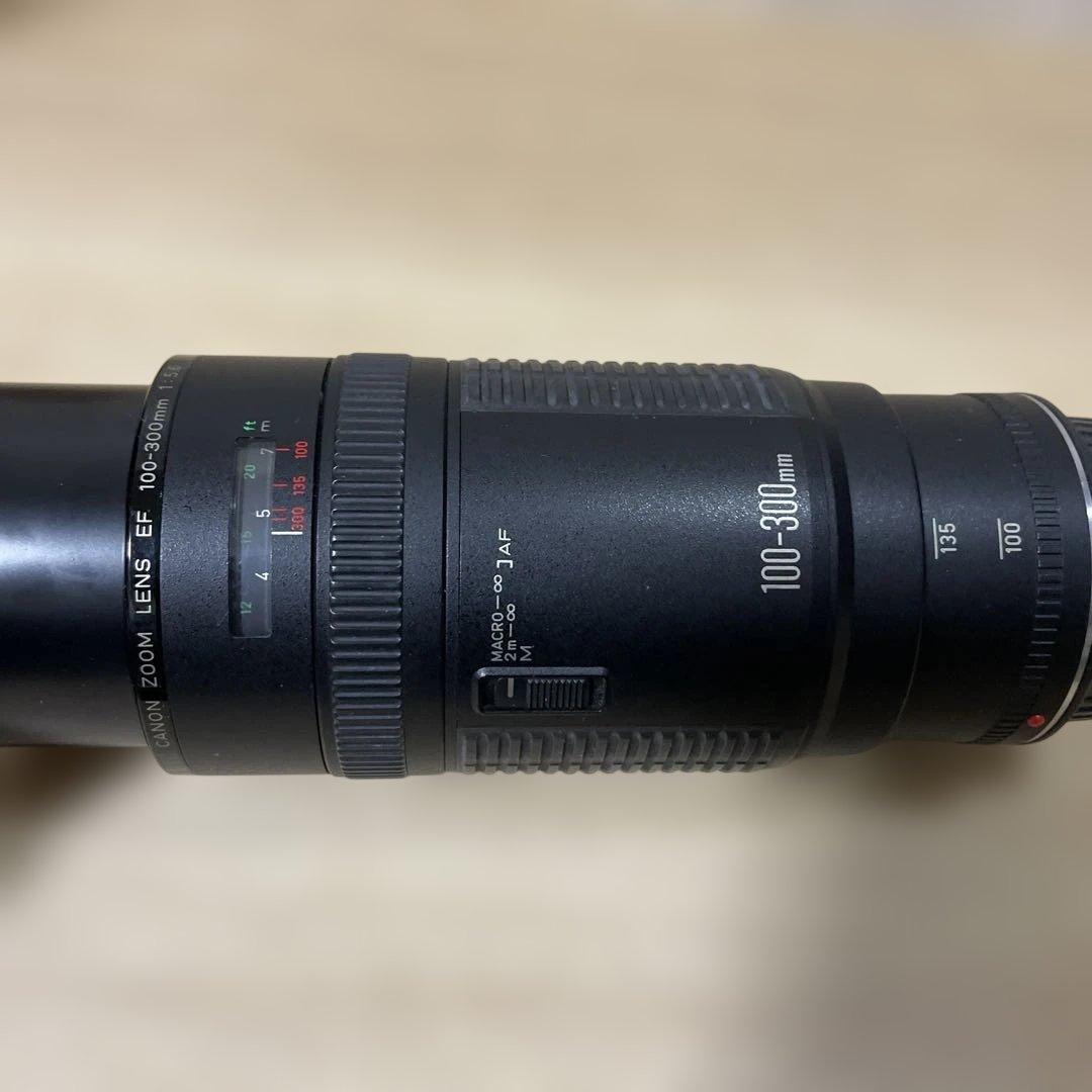 Canon EF 100-300mm f/5.6 ズームレンズ