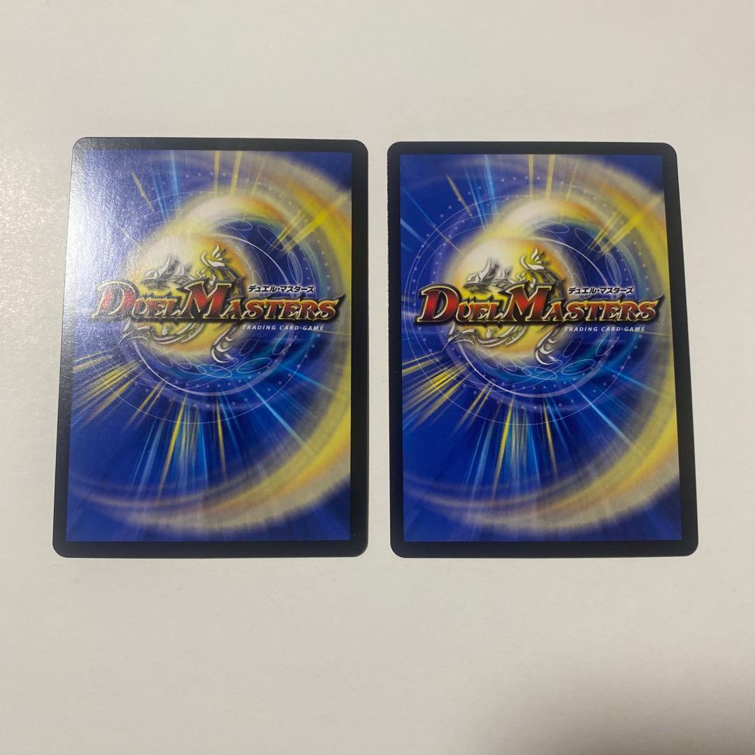 水上第九院 シャコガイル a 2枚セット