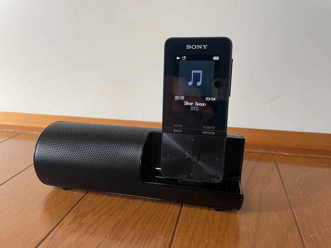 SONY ウォークマン NW-S315