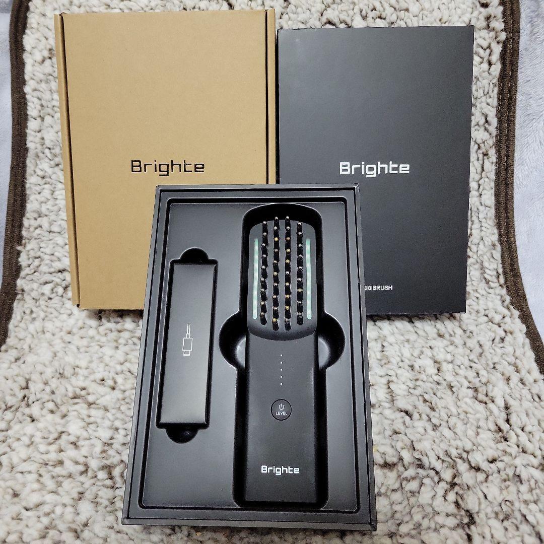 Brighte ELEKIBRUSH ブライト エレキブラシ
