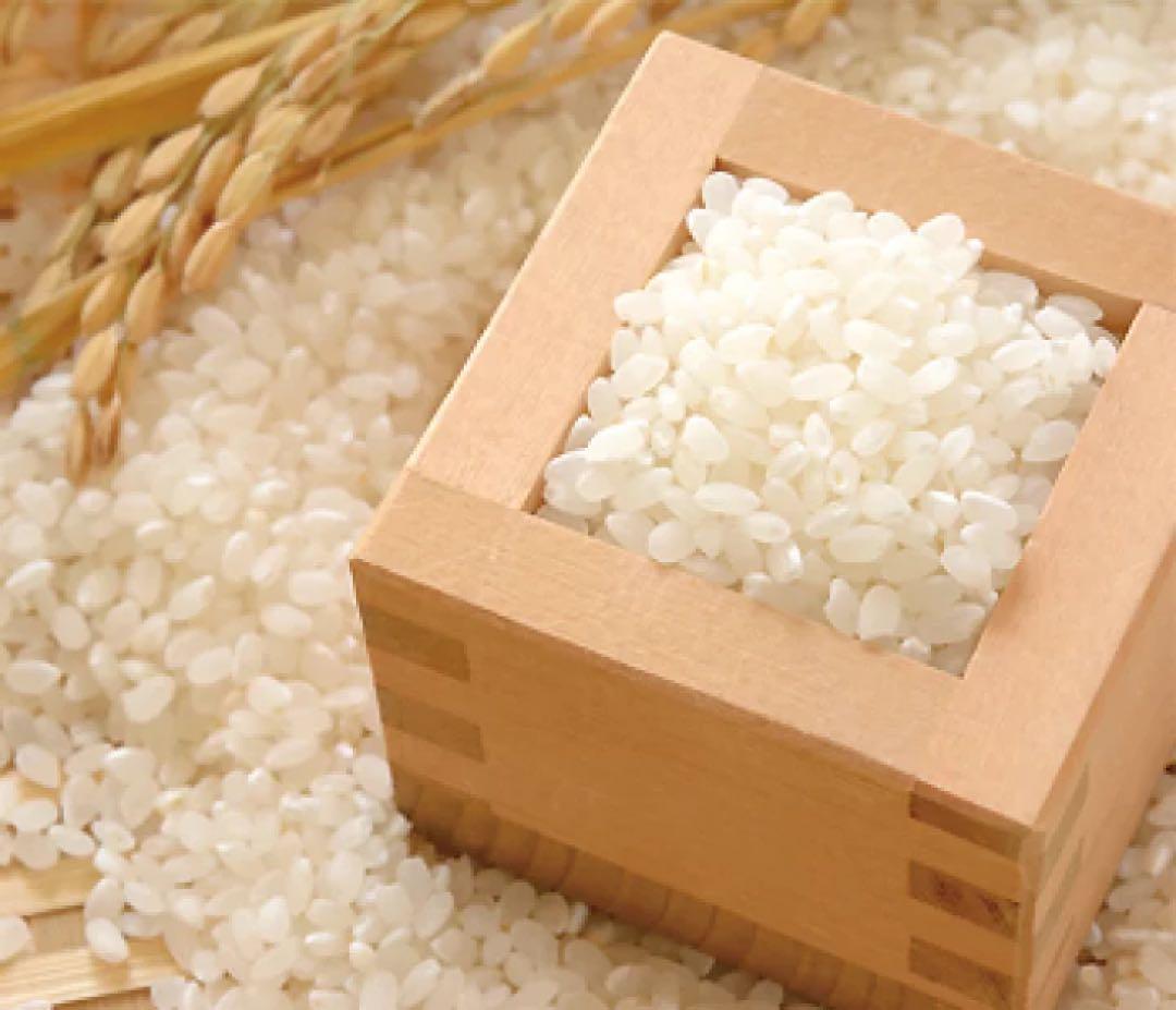 お得な10kg！青森産まっしぐら 新米 令和6年産 冷めても美味しい！