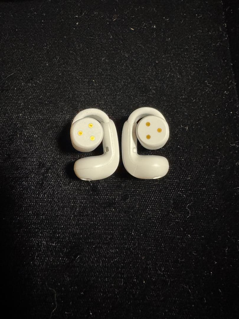 シナモンです。　Bose Open Earbuds Ultra