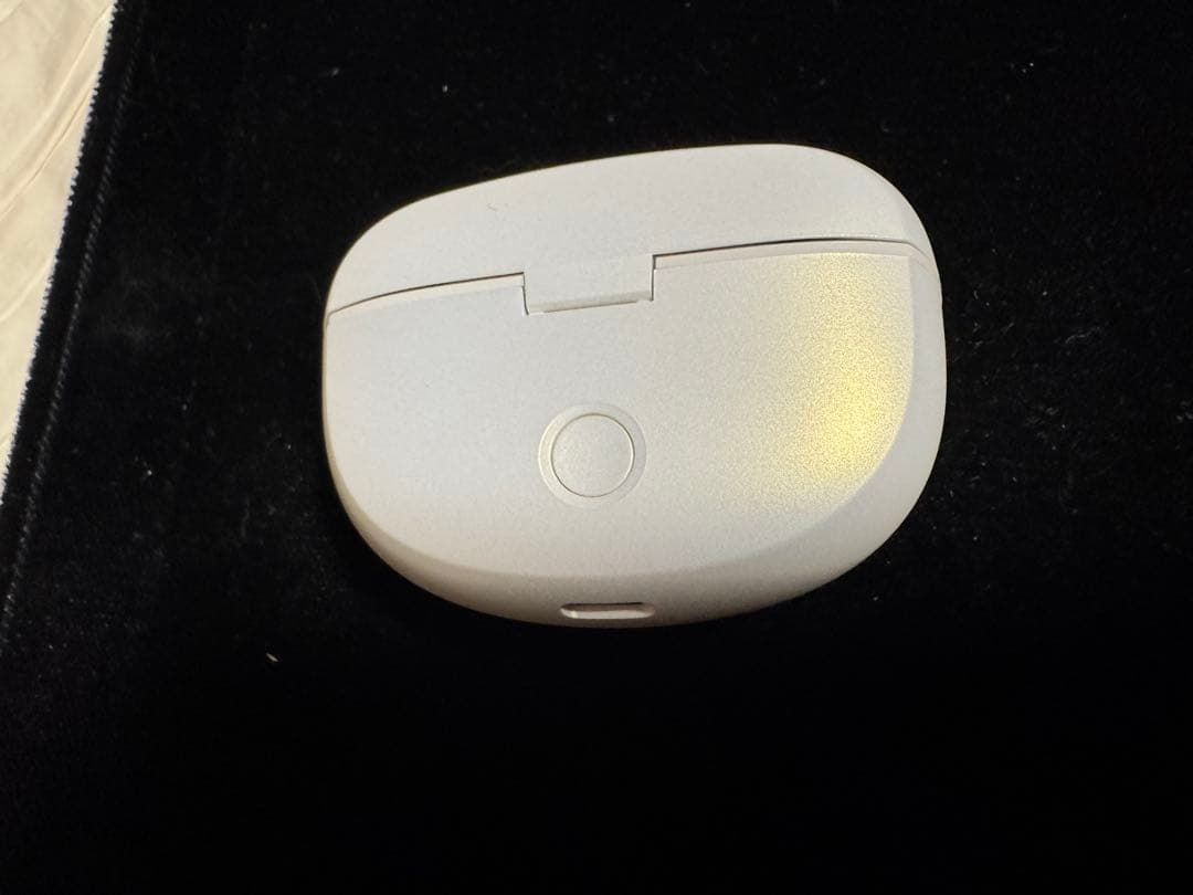 シナモンです。　Bose Open Earbuds Ultra