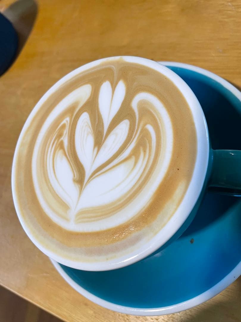 ソリス　バリスタパーフェクタプラス