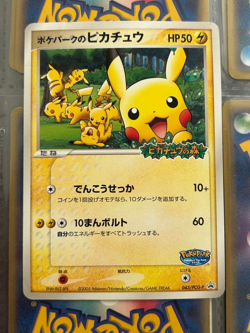 ポケカ　ポケパーク特典