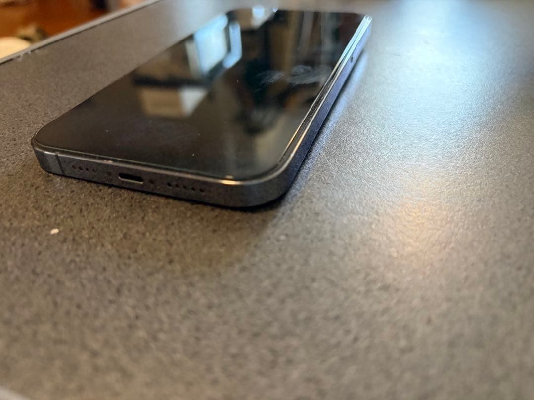 Apple iPhone 13 Promax シエラブルー　本体