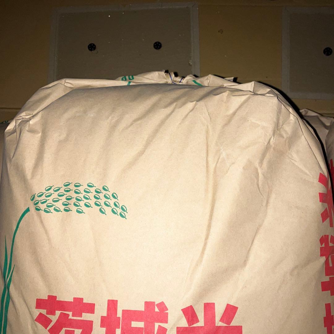 令和7年度産　茨城県産　コンヒカリ 玄米30kg