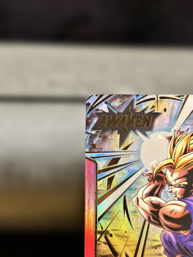 ドラゴンボール　誇り高き戦闘民族FB08 孫悟飯L☆SR☆