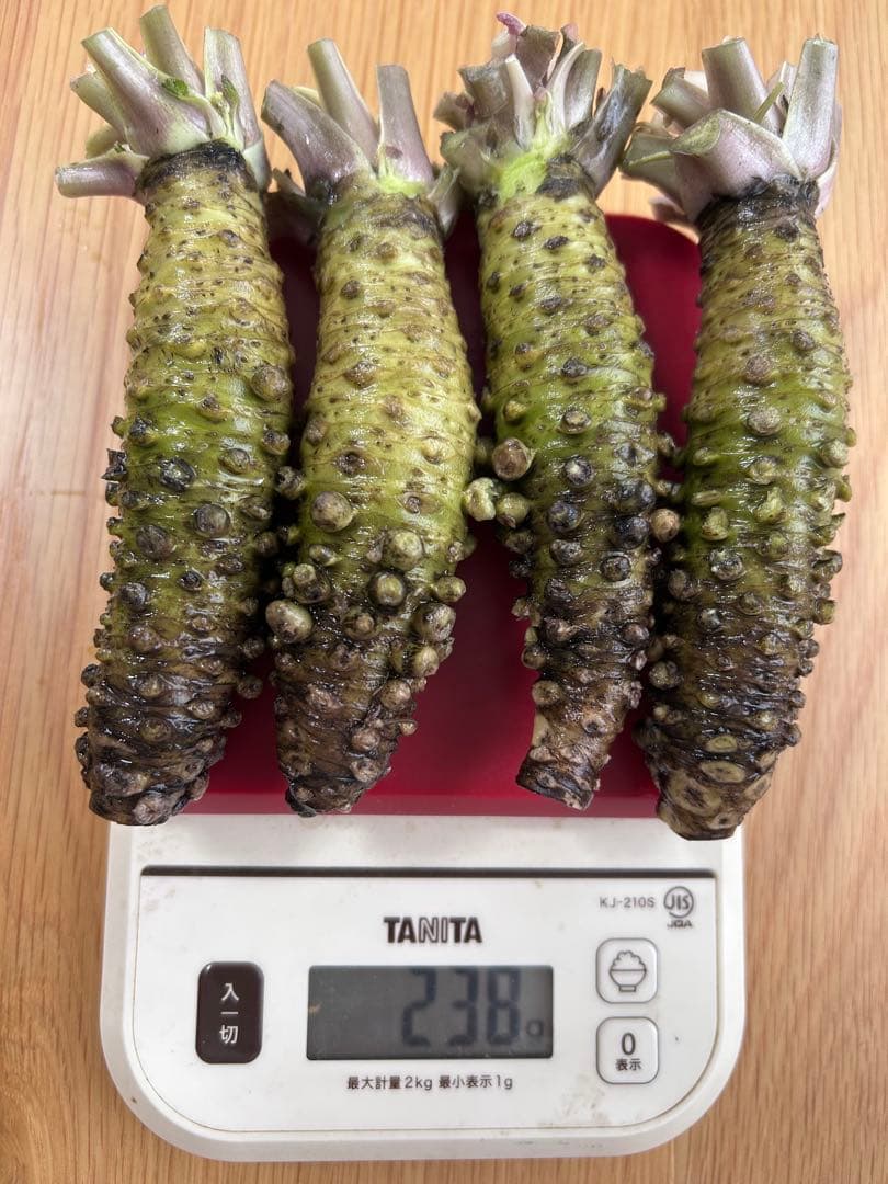 特選 真妻わさび スダチ4L ふきのとう