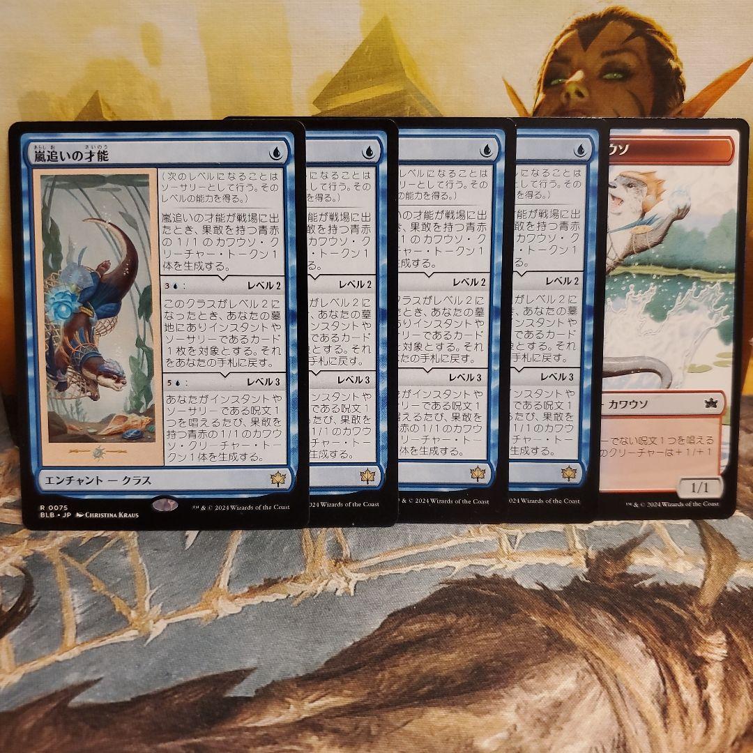 【毎日発送】日本語　嵐追いの才能　4枚セット　+カワウソトークン