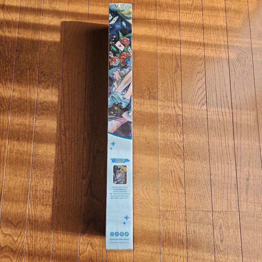 DACダイヤモンドアートキット「Down the Rabbit Hole」