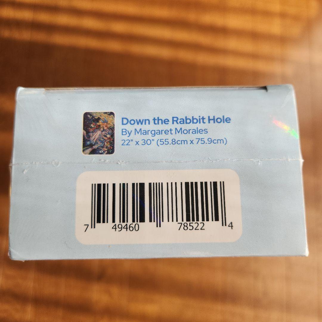 DACダイヤモンドアートキット「Down the Rabbit Hole」