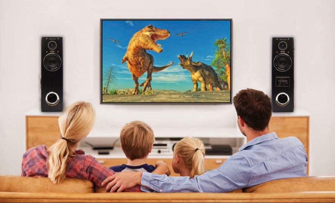 ダイナミック・サウンドスピーカー DS-12