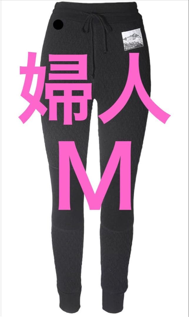 【新品未使用】ひだまり肌着 エベレストプロ 婦人用タイツ ブラック Ｍ