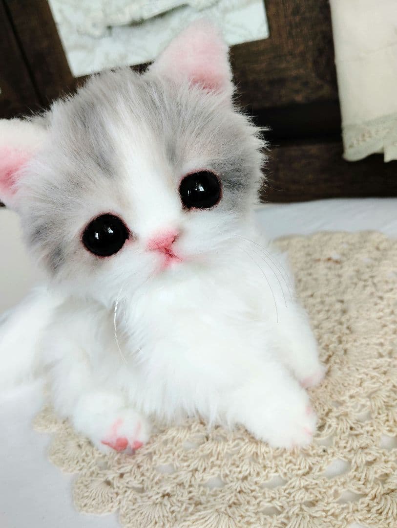 幼猫♡生後２週間♡よちよち期♡子猫の杏ちゃん♡アートドール♡ぬいぐるみ♡