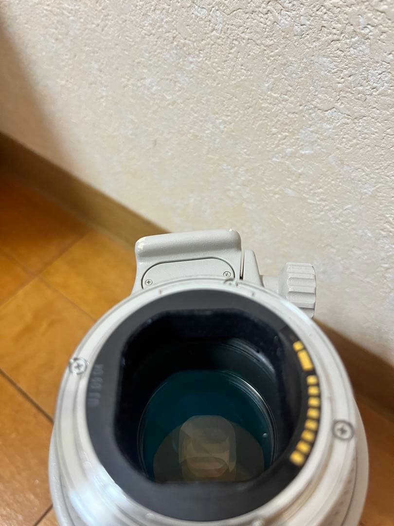 Canon EF 70-200mm f/2.8L IS L USM ズームレンズ