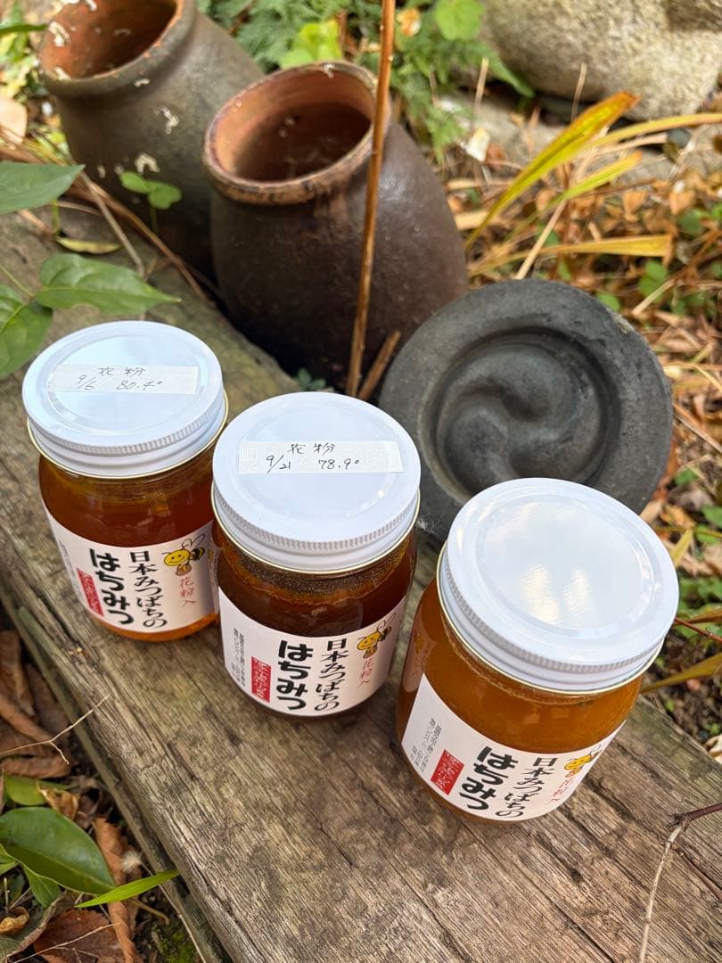 ハチミツ　日本蜜蜂の蜂蜜　巣箱違い谷違いの花粉入りはちみつ