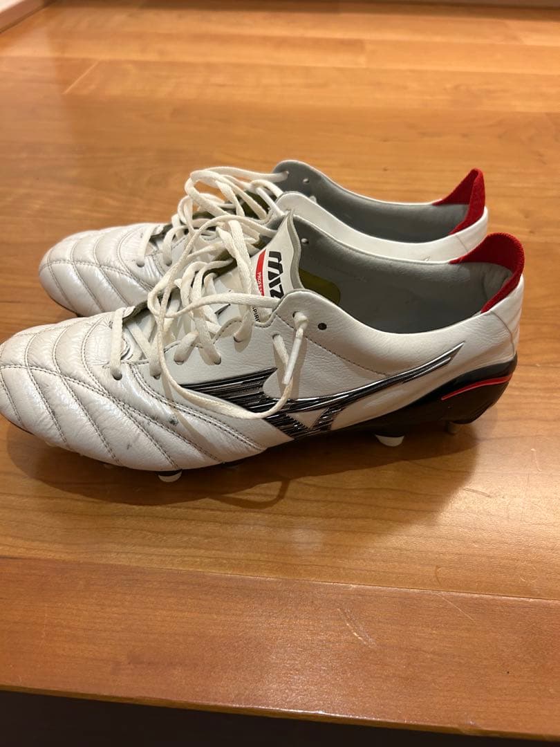 モレリアネオ　sg