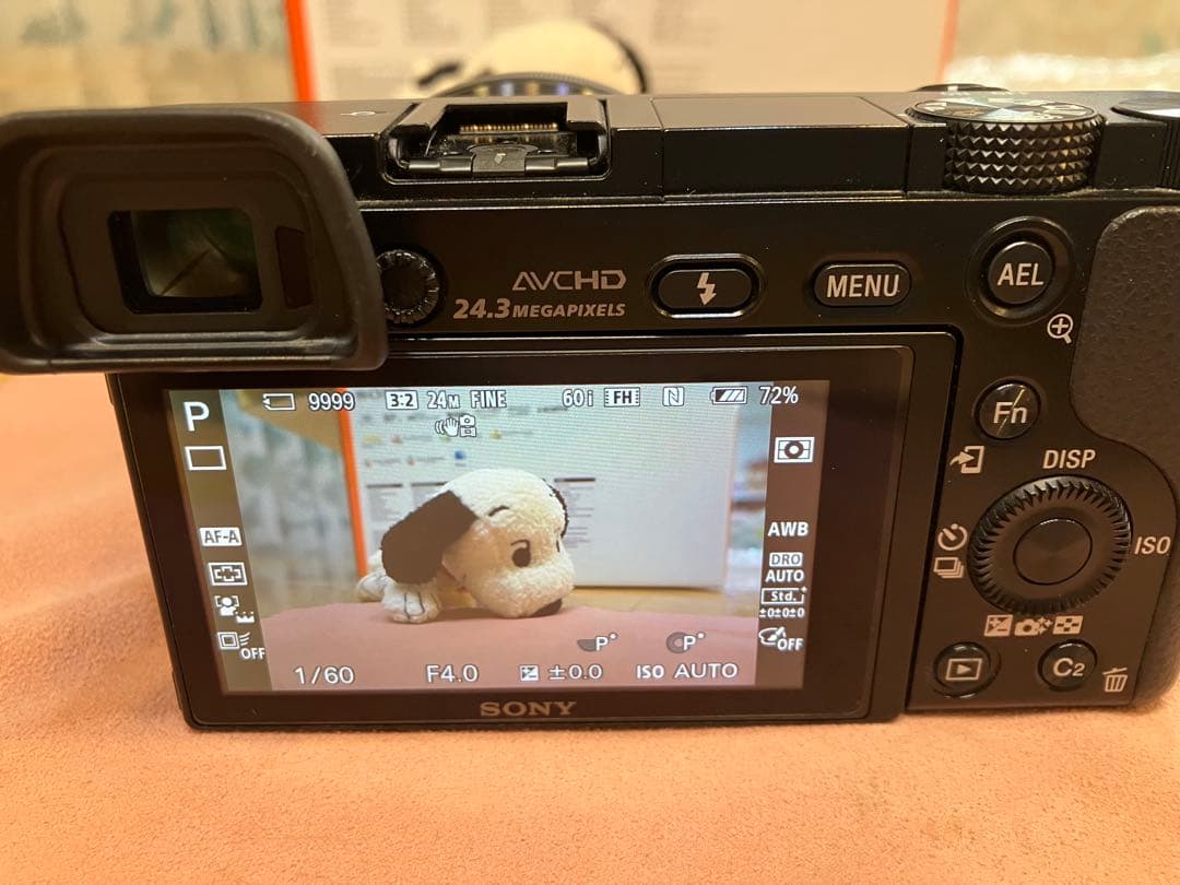 SONY ソニー α6000 ダブルレンズキット ブラック