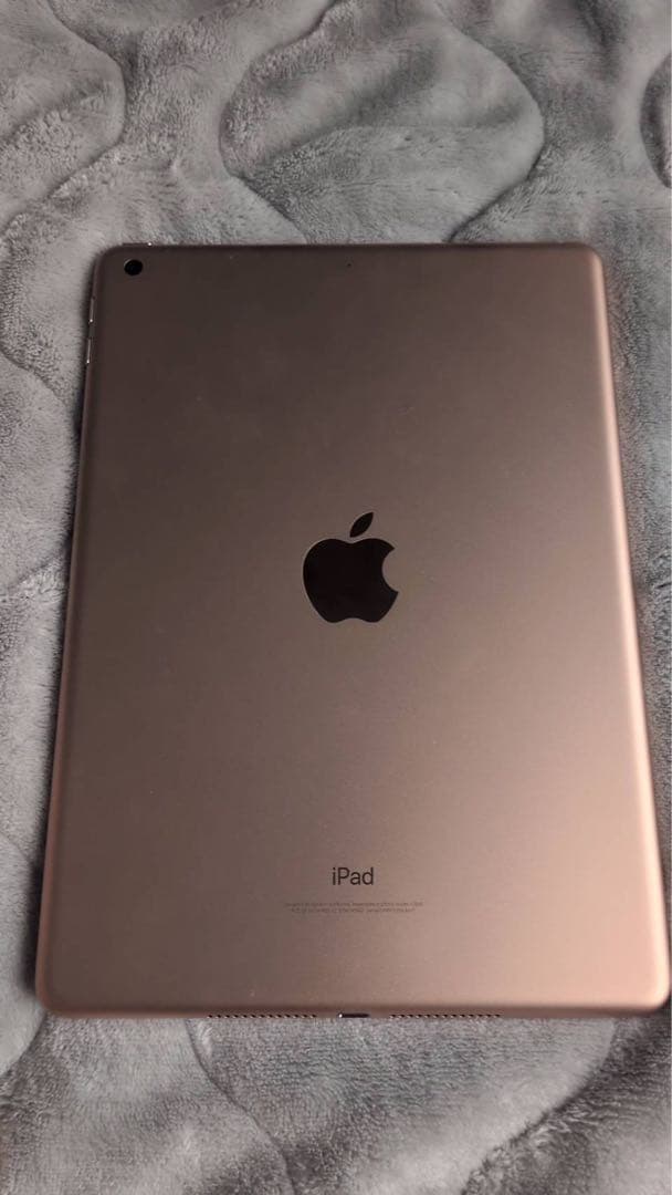 Apple iPad ゴールド 本体 + カバー