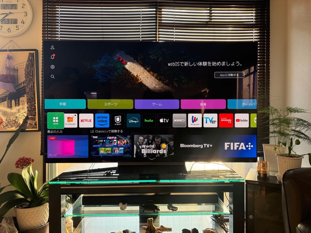 愛知県 LG 24年製 有機ELテレビ 65V OLED65C3PJA