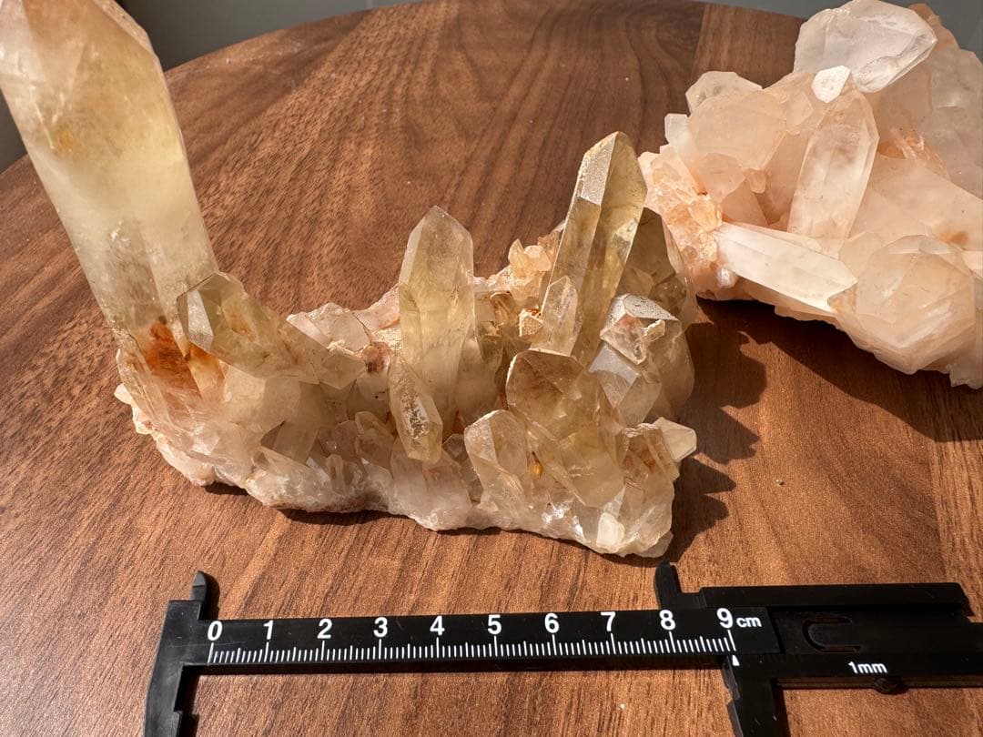 サヤカ  シトリン クラスター