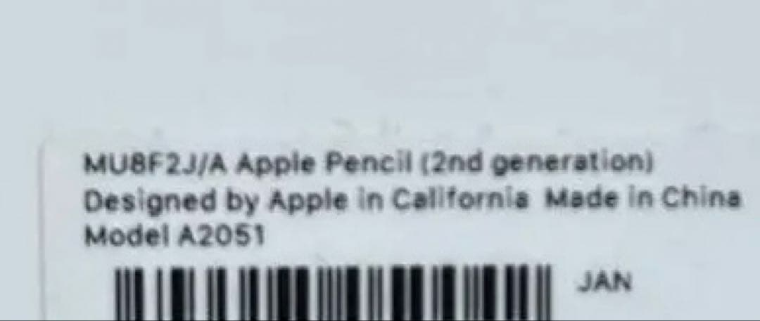 純正　Apple Pencil 第2世代とPencil Tips セット