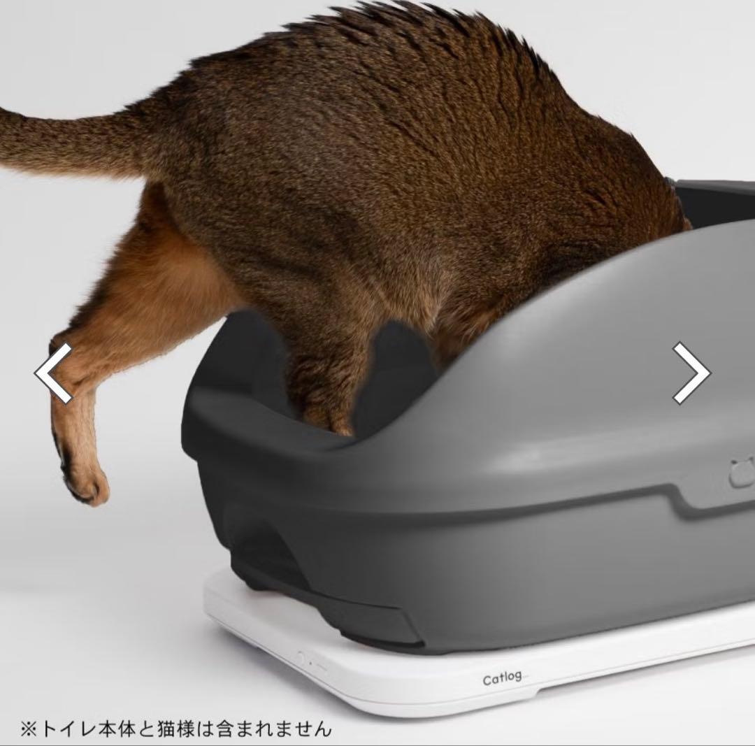 Cartlog board2 キャットログホームセット