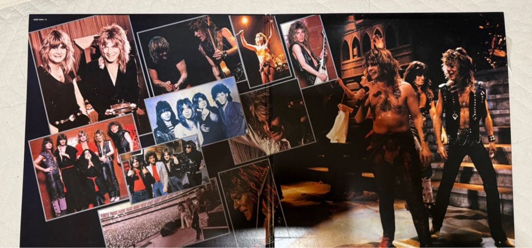 ヒ*シ様 Ozzy Osbourne Tribute 2枚組レコード