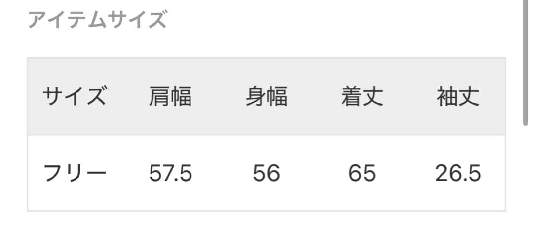 新品タグ付き、L'Appartement購入、レミレリーフカットソー