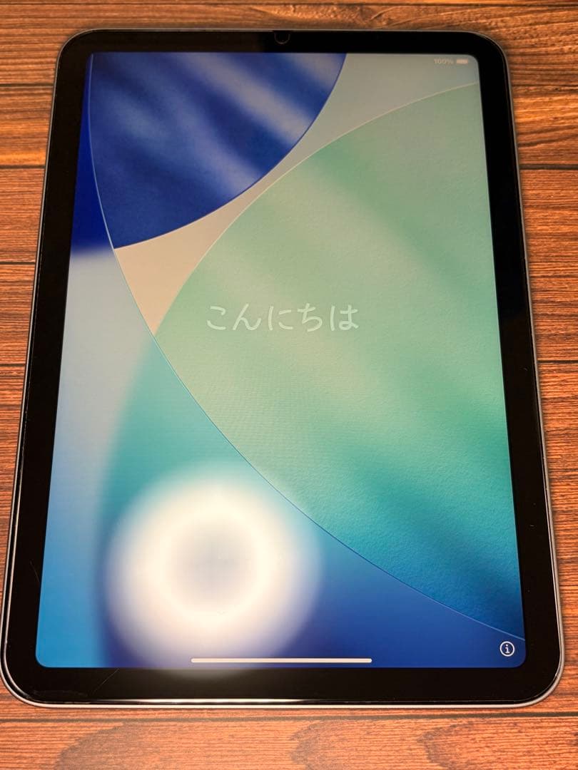 【極美品】iPad mini 7 128GB スペースグレイ