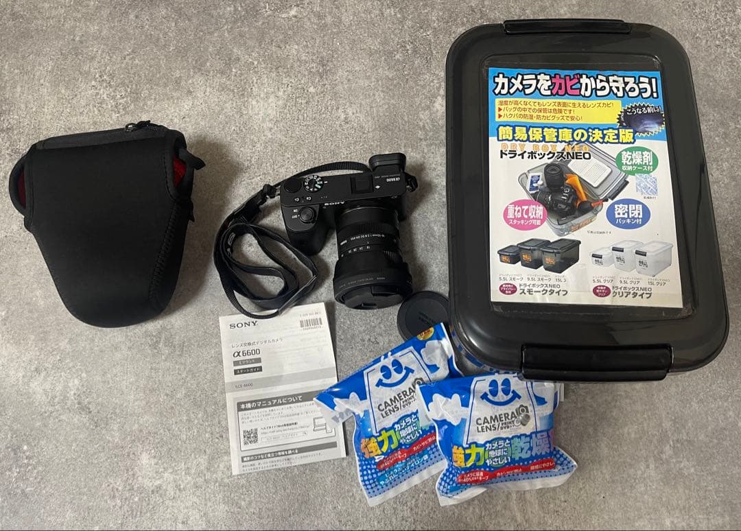 SONY α6600 ilce-a6600 ボディ 本体+SIGMA レンズ込み
