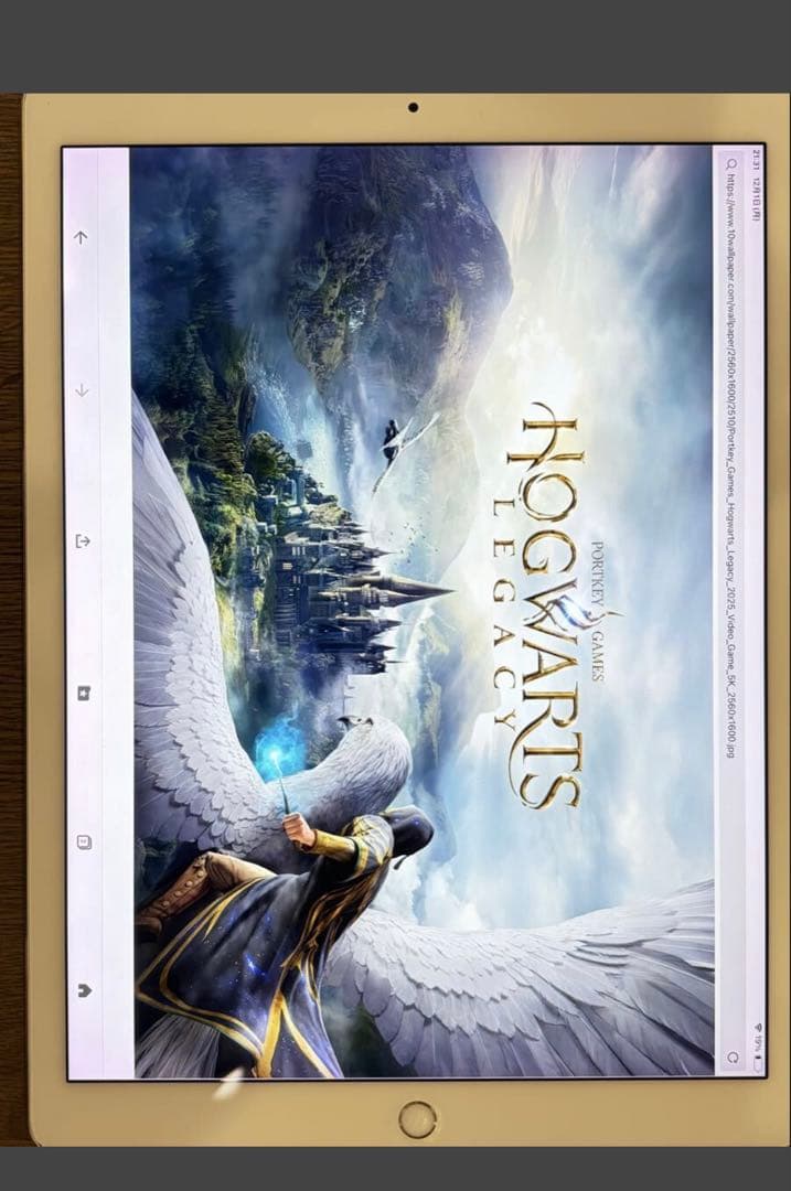 iPad Pro 12.9インチ 第2世代 256GB