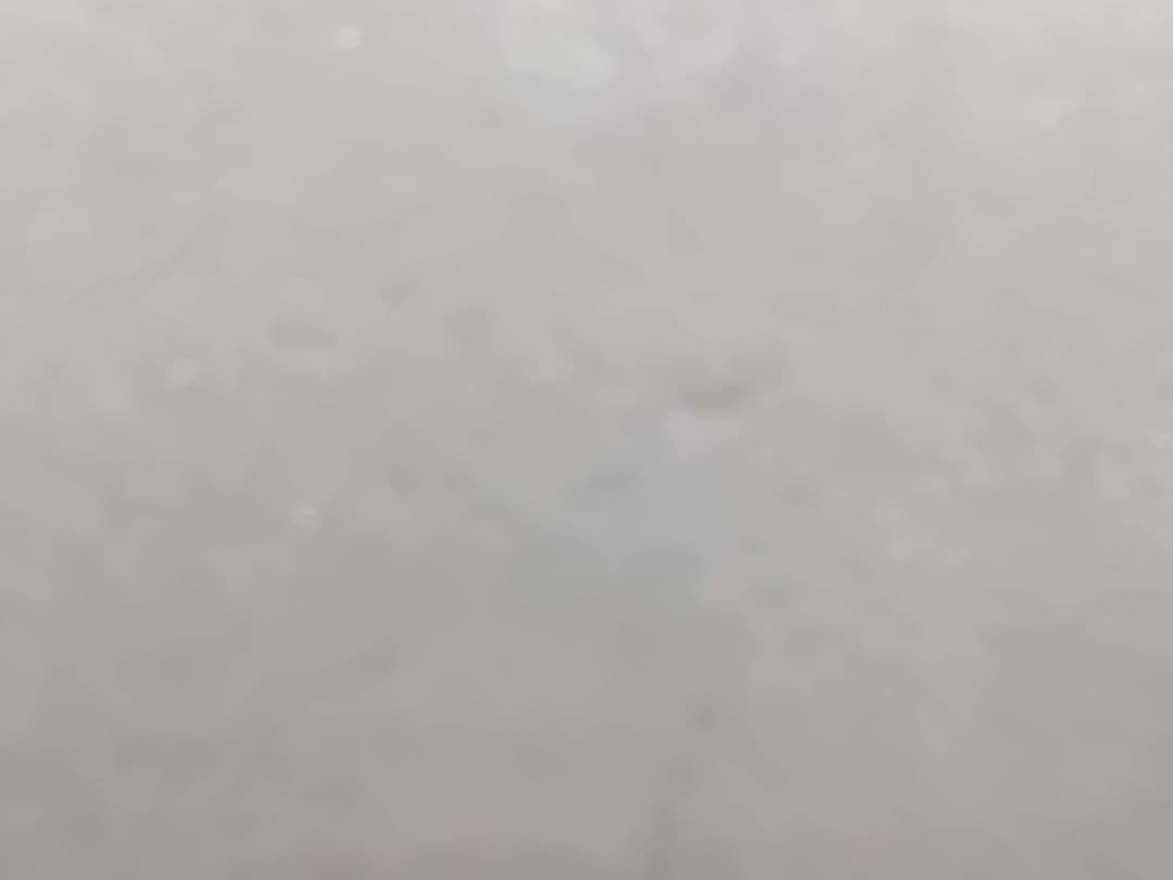 【デュエマスリーブ】天地命動バラギアラ　輪廻暴聖　未使用40枚