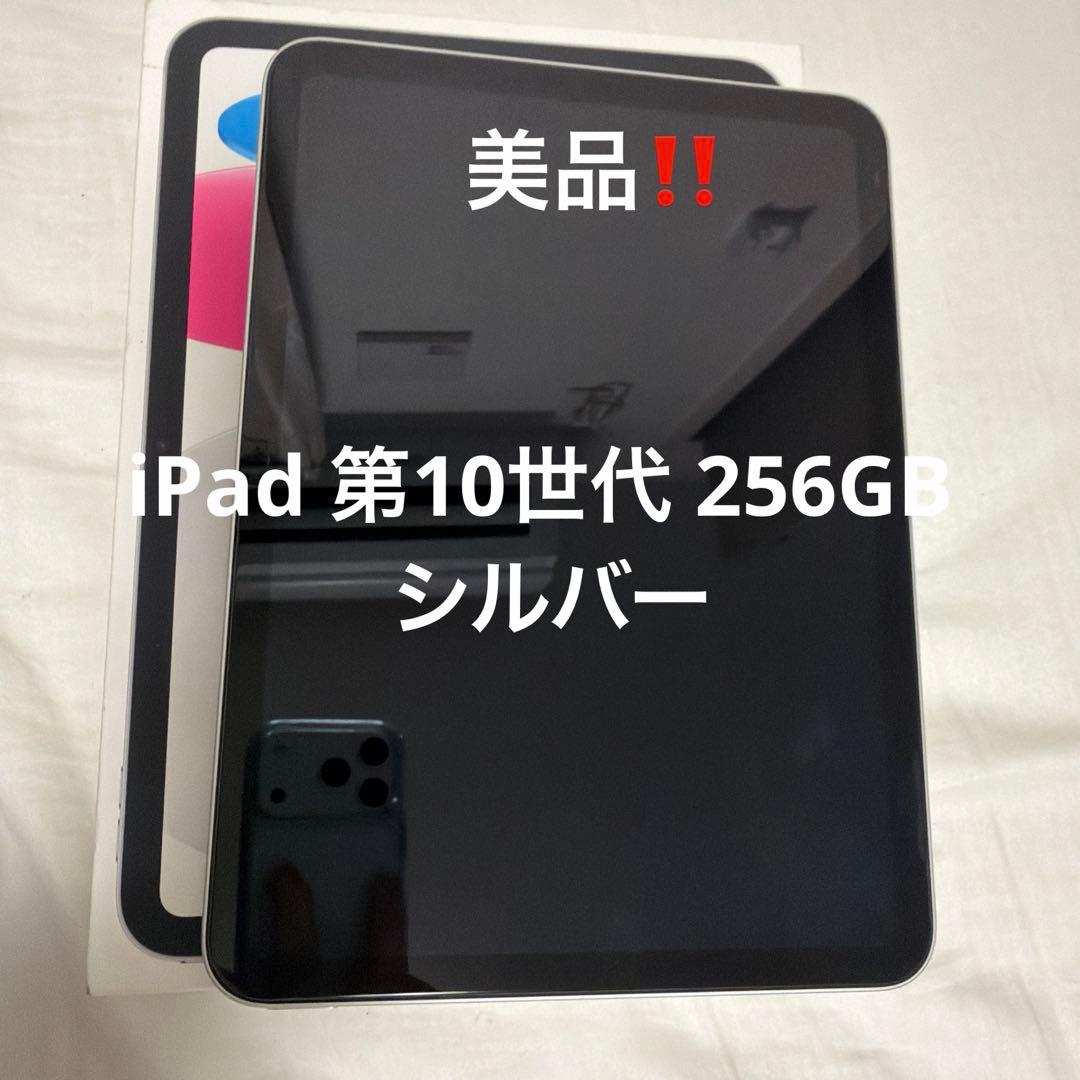 もも 第10世代 iPad 256GB