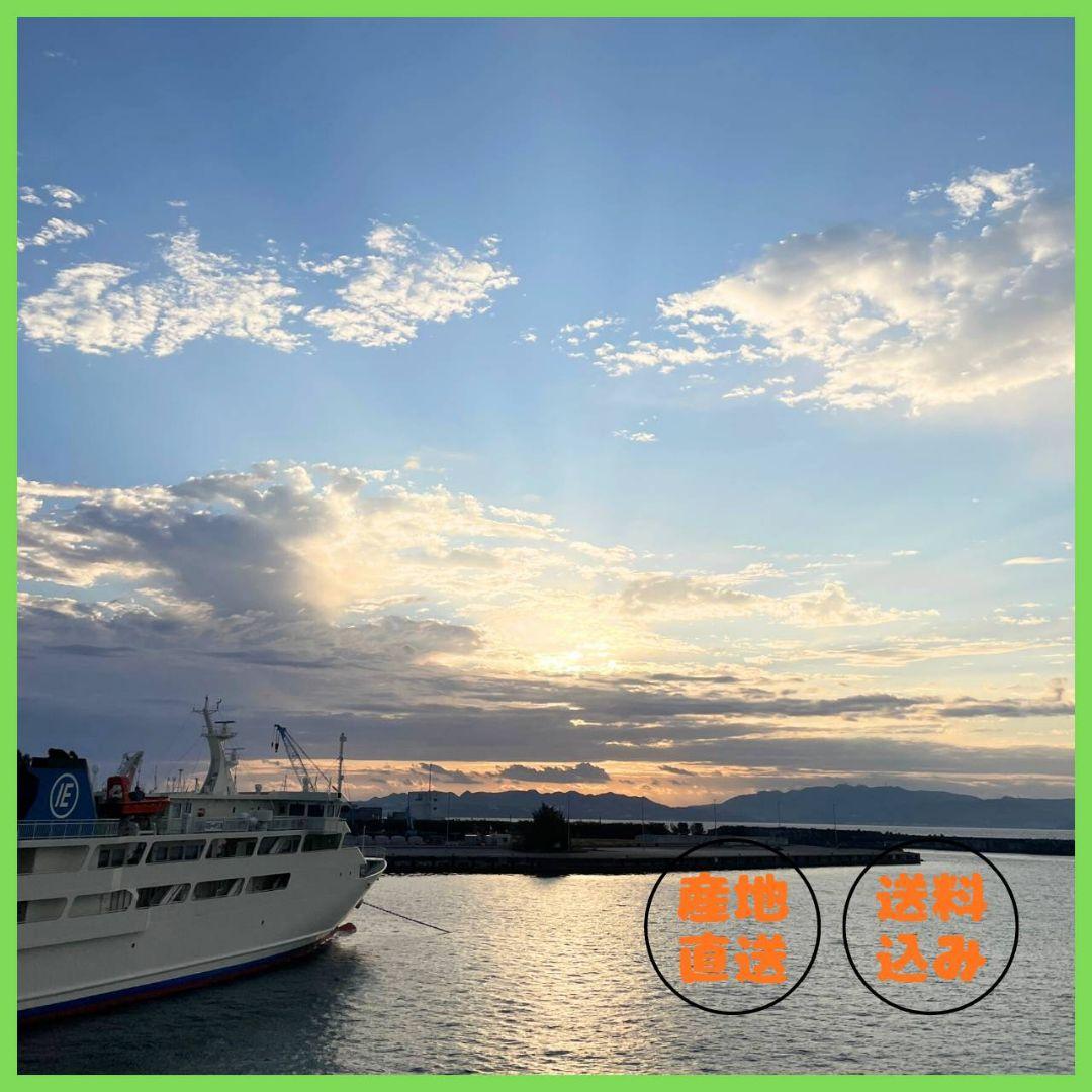 【伊江島産】 ５ｋｇ 島らっきょう 農家直送 新鮮 朝採れ 沖縄産 送料込み