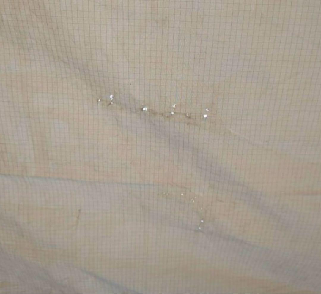 ゼインアーツ ギギ 2