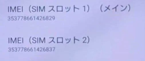 SONY Xperia 10 VI A402SO 本体のみ