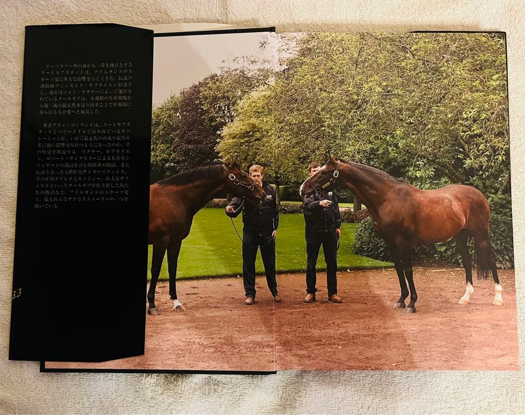 【非売品】クールモア・スタッド (海外競馬・種牡馬)