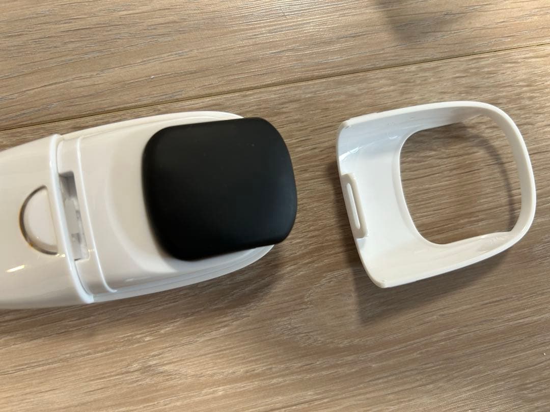 モイスティーヌ 美顔器