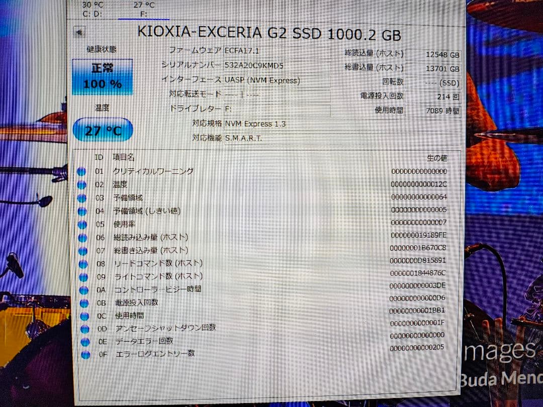 KIOXIA キオクシア NVMe SSD 新品ヒートシンク 1TB 2280