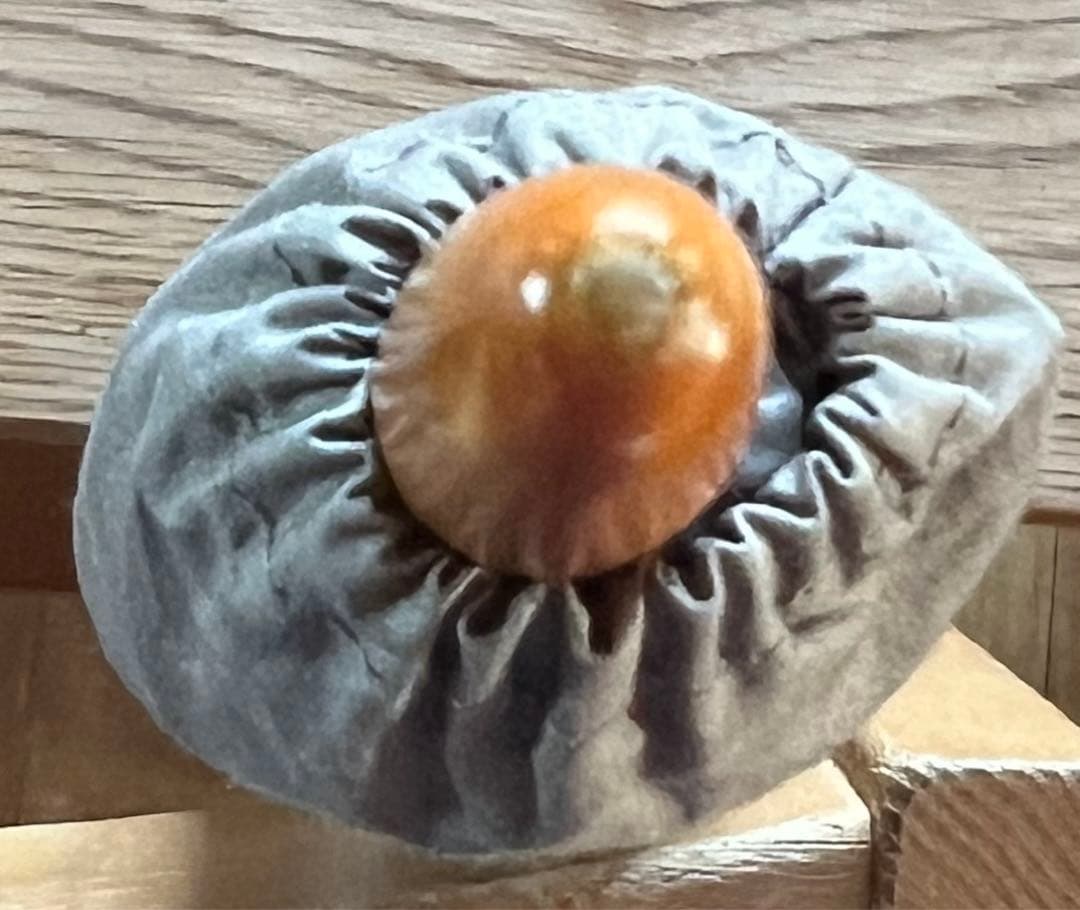 ミナ ペルホネン hana hane折りたたみ晴雨兼用傘