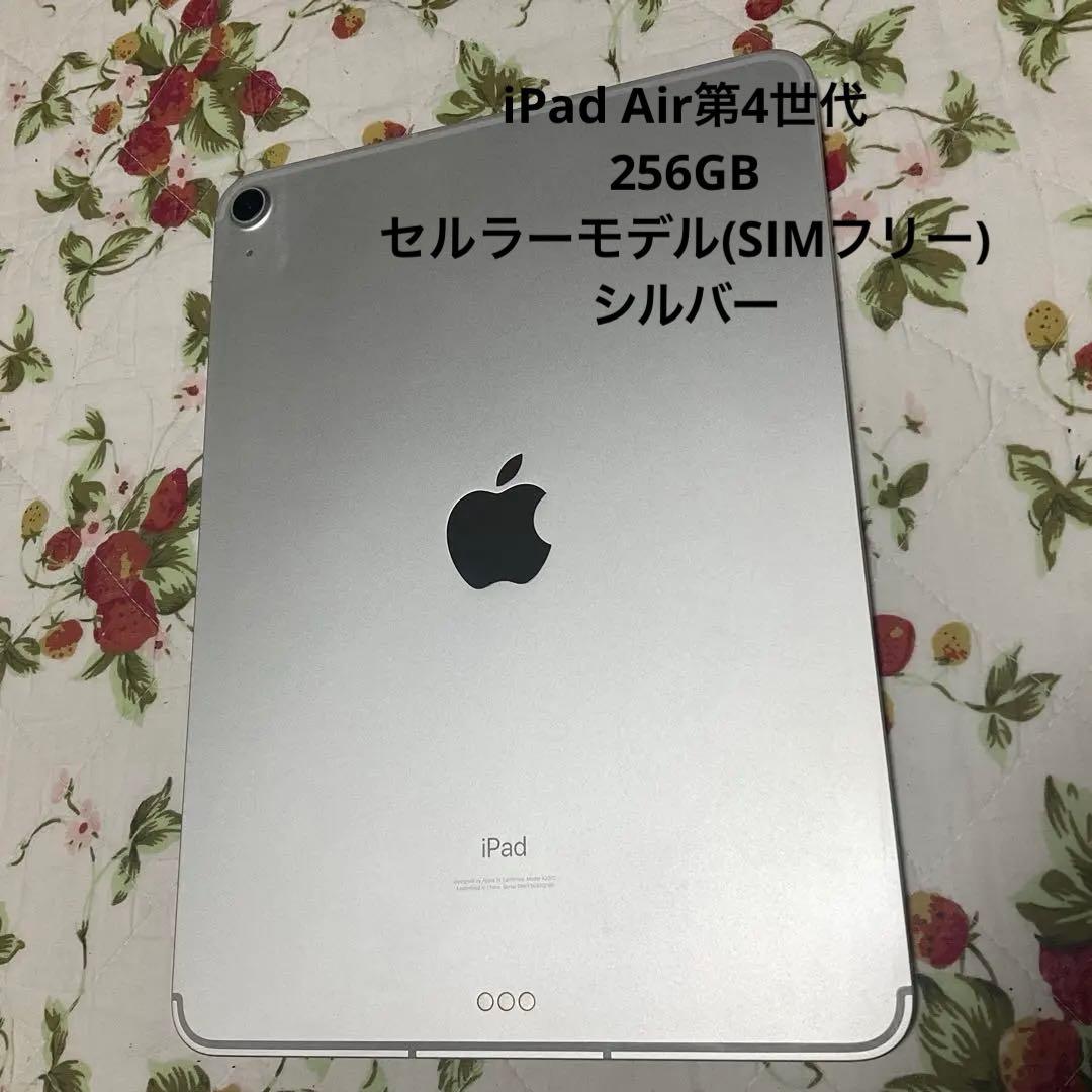 美品　iPad Air 4世代　セルラー　256G ケース