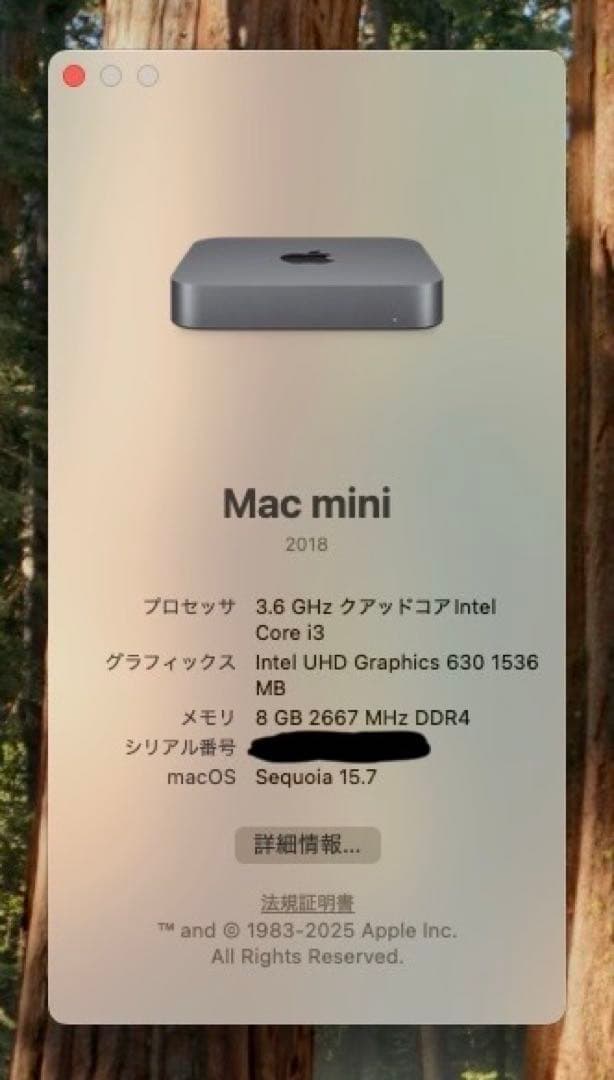 Apple Mac mini 2018 スペースグレー 最新OS