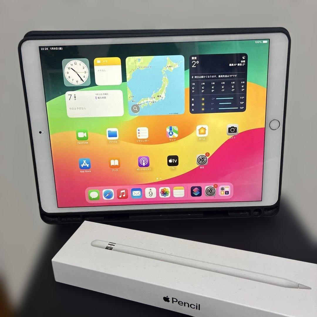 ジャンク★iPad Pro 10.5インチ 256GB/Appleペンシル付き