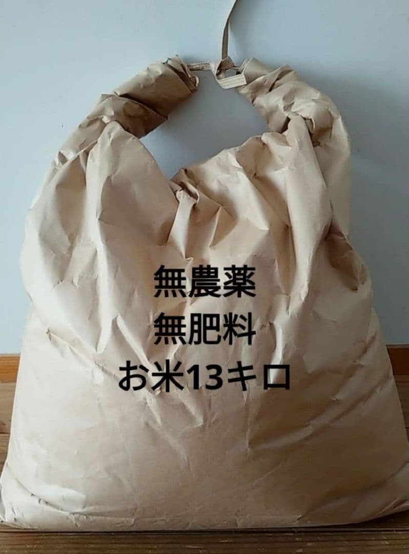 【週末セール】無農薬お米　13キロ　無農薬　無肥料　令和7年収穫　玄米