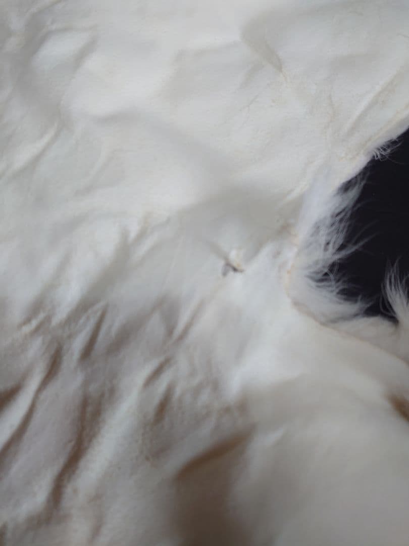 （希少）トナカイ　リアルファー　レザー　毛皮ラグ 　ノルウェー　北欧